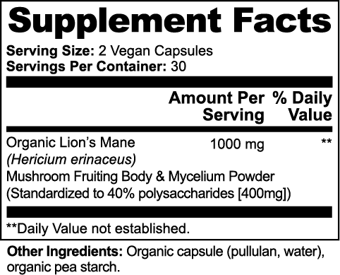 Lion’s Mane: Mental Clarity Protocol