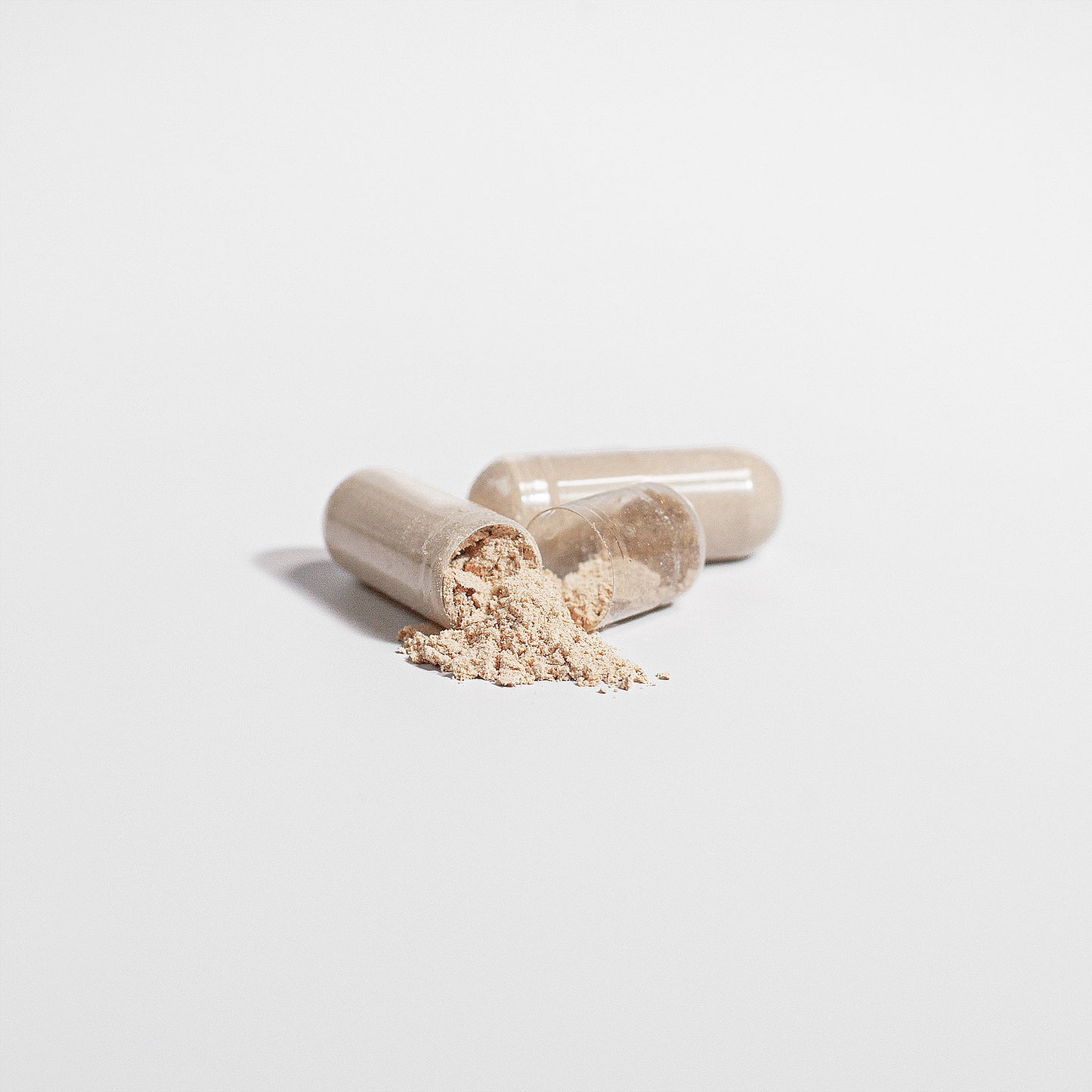 Lion’s Mane: Mental Clarity Protocol