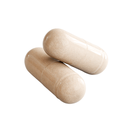 Ashwagandha: Cortisol Support